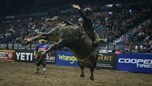 Canadian Champions Dakota Buttar and Aaron Roy Tie for Event Win at PBR Canada Touring Pro Division Stop in Prince Albert, Saskatchewan