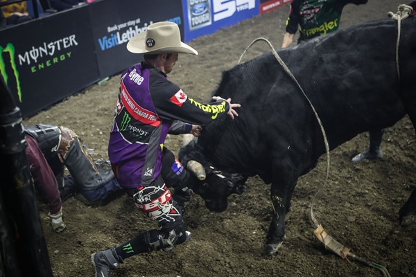 Bullfighters takes a few hits from PBR Bucking Bull - Professional