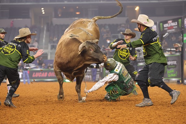 Vold Rodeo Bulls Shine in Round 2 of the 2020 PBR World Finals — The  Professional Bull Riders