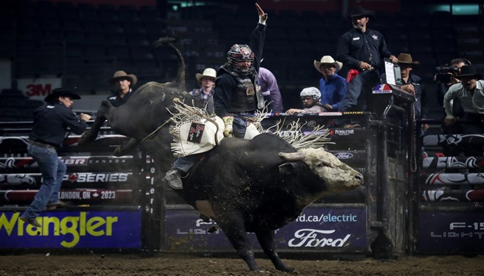 Bull Riding