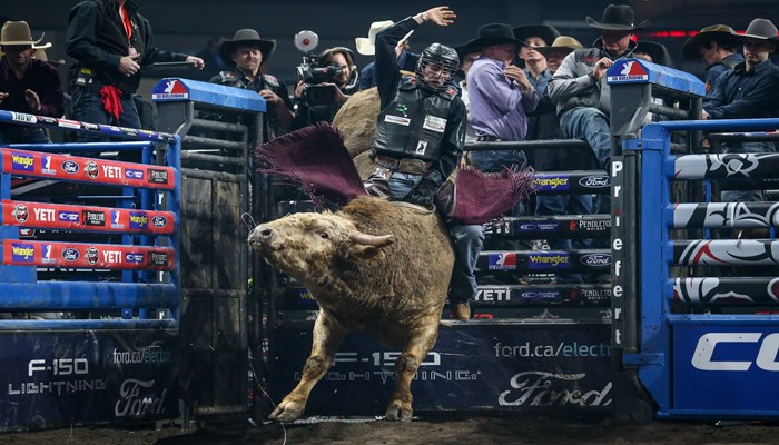 Homepage — The Professional Bull Riders