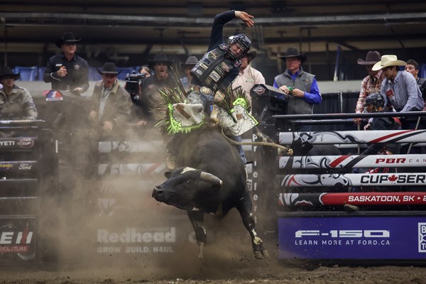 2024 Canadian Global PBR Canada Bull of The Year Contenders Announced ...
