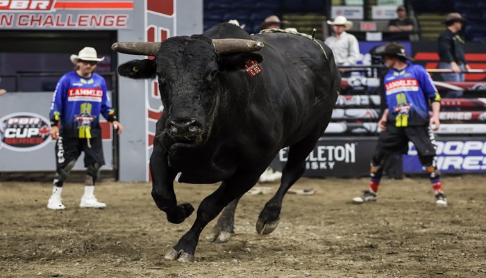 Morning Line – Kelowna Round 1